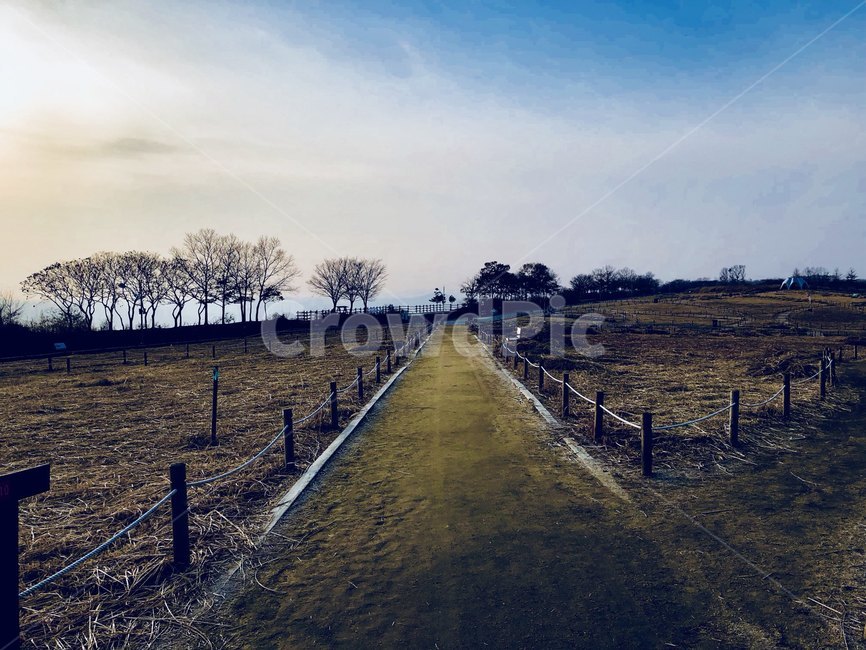 하늘공원,서울,하늘,야외,해질녘,산책,sky,park,sunset,자연,풍경,nature,landscape,road,도로,bridge,다리,building,건물