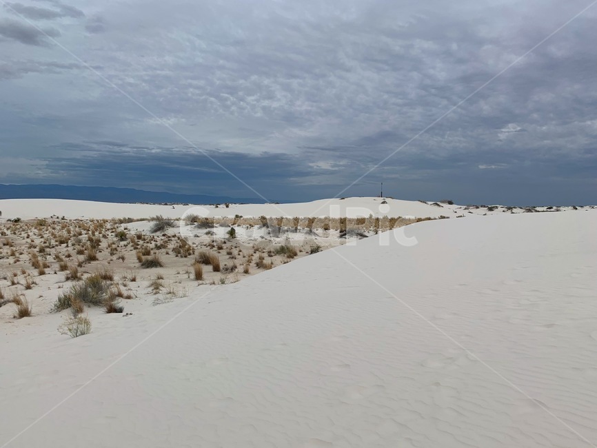 모래언덕,모래사막,하얀모래,미국,사구,sandhill,whitesand,america,dune,풍경,landscape,sanddune,배경화면,background,모래,sand,자연,풍경,nature,landscape,soil,흙,outdoors,옥외,모래 언덕