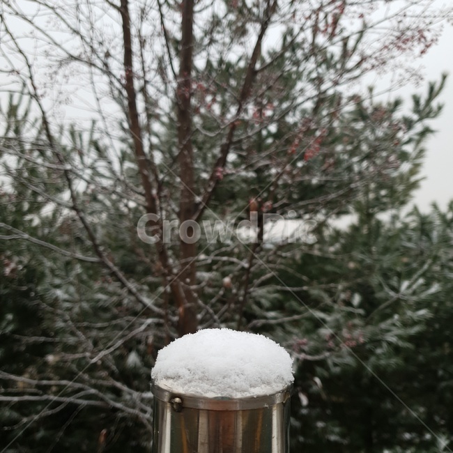 겨울,눈,감성,추움,삭막함,겨울,계절,winter,season