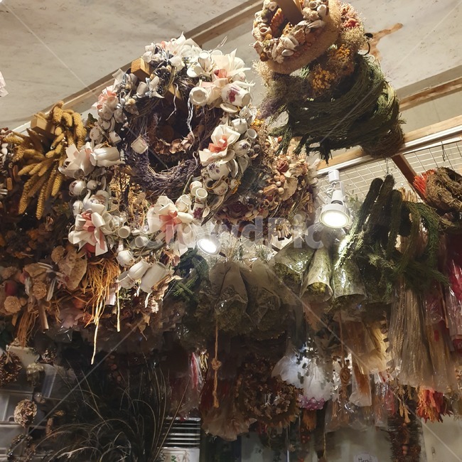 plant,식물,말린꽃,꽃,장식,오래된,올드,간직,소품,인테리어,화단,갈색