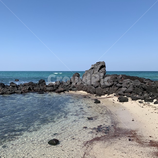 자연,nature,바다,sea,ocean