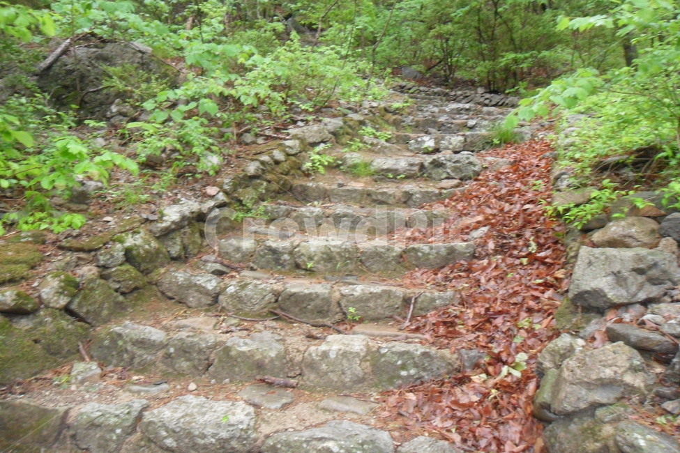 돌,계단,산,mountain,stairs,식물,나무,낙엽,자연,풍경,nature,landscape,path,통로