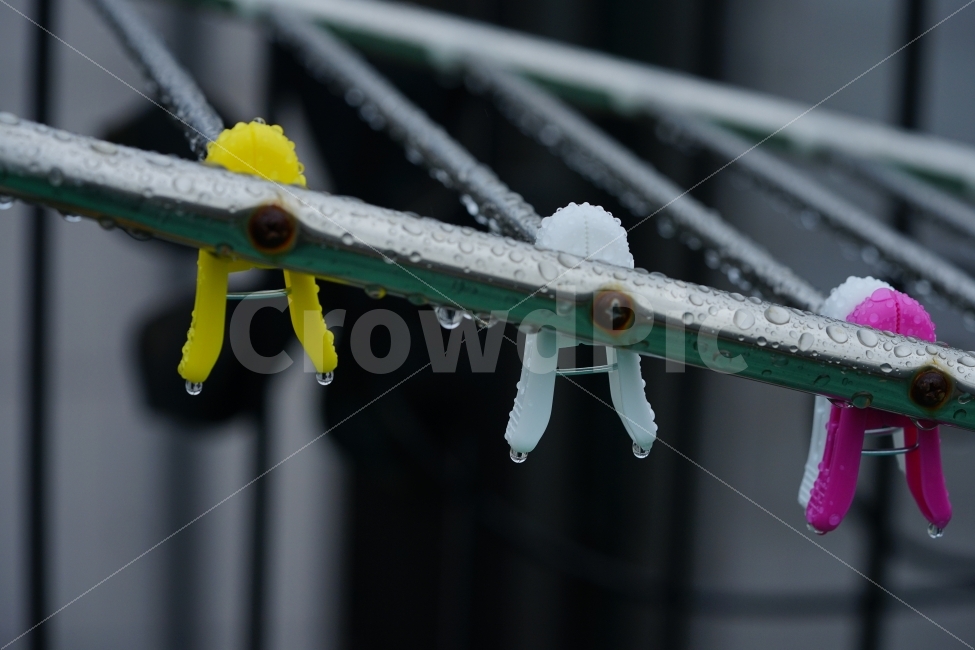 	물방울,빗물,비,물,접사,감성,감성사진,느낌,풍경,비오는날,레인,rain,옷걸이,빗소리,워터,일상,풍경사진,감정,집게,빨래집게,비,비오는날,rain,rainy,사물,물건,오브젝트,thing,object,matter