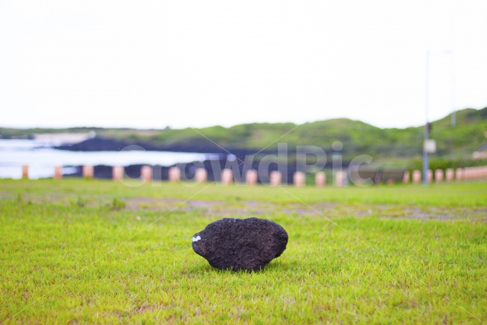 제주도,들판,현무암,바닷가,제주도바다,자연,풍경,nature,landscape,plant,식물,grass,잔디,field,들,outdoors,옥외,grassland,목초지