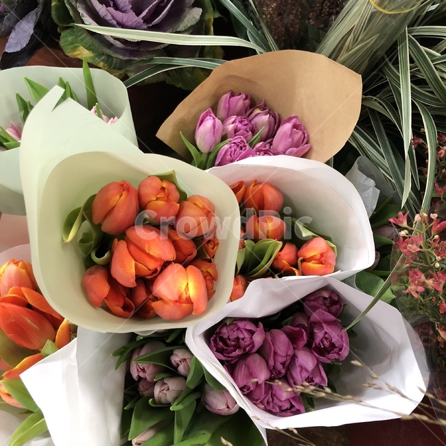 꽃,튤립,꽃시장,꽃다발,알록달록,꽃,flower