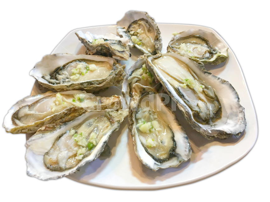 음식,해산물,굴,생굴,석화,oyster