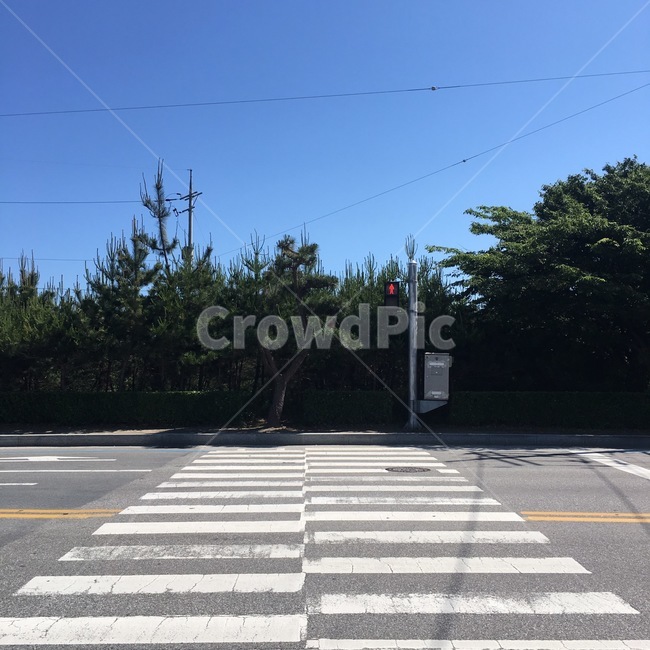도로,road,crossingroad,횡단보도,길