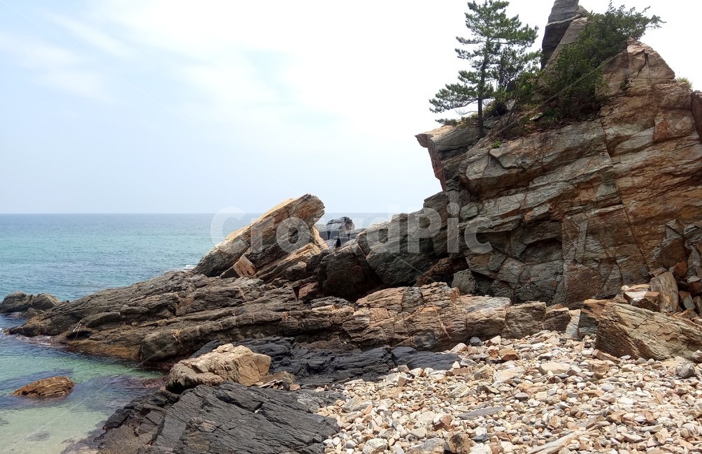 바다,해안,해송,하늘,바위