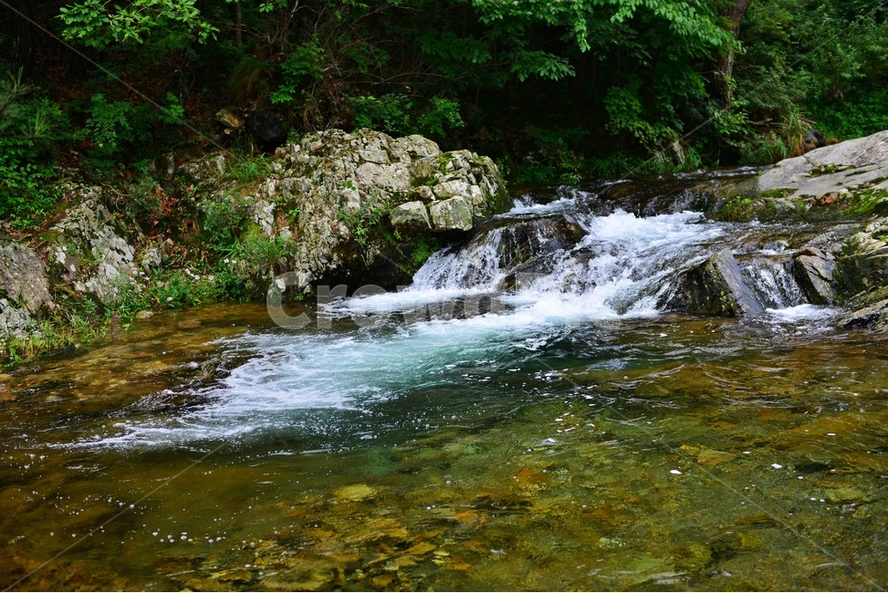 water,물,nature,자연,outdoors,옥외,stream,흐름,river,강,waterfall,폭포,경북,상주,금란정계곡,장각폭포,자연,풍경,nature,landscape