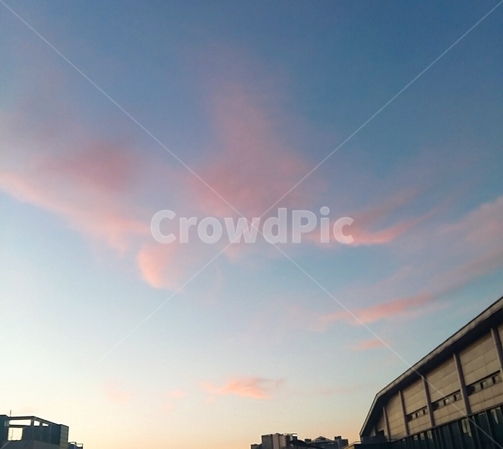 하늘,구름,노을,분홍구름,cloud,sky,자연,풍경,nature,landscape,outdoors,옥외