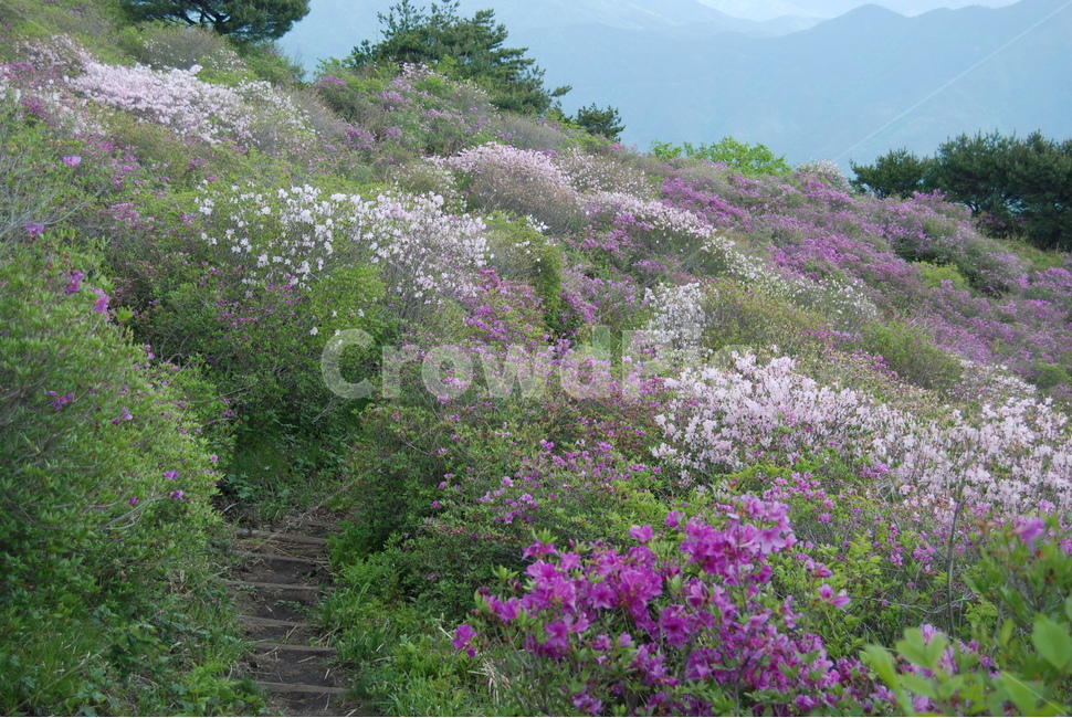 봄,산,꽃,자연,하늘,자연,풍경,nature,landscape,arbour,정자,garden,정원,outdoors,옥외