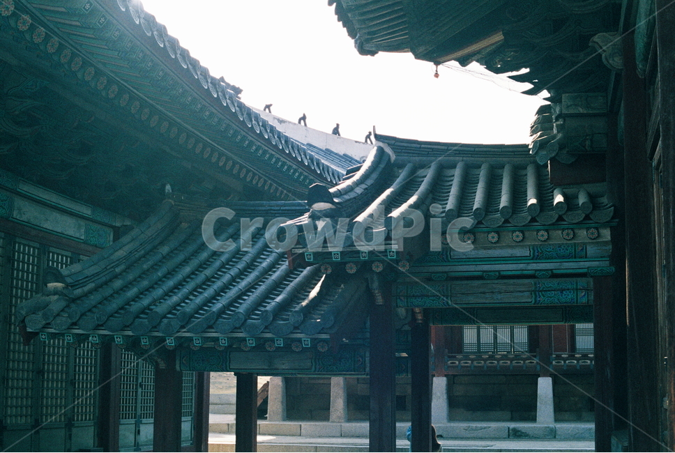 고궁,처마,궁궐,필름,필름카메라,창경궁,한국전통,한국문화,korean traditional,korean culture,건축물,건물외관,exterior,building,structure,architecture,construction