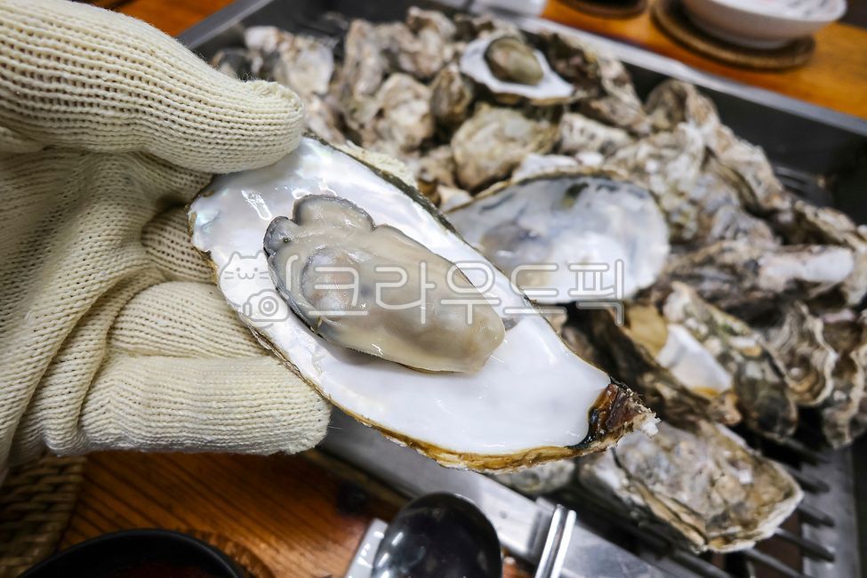 Oysters,grilled oysters,stone oysters,stone oyster grilled,Tongyeong oysters,stone oyster steamed,stone oyster steamed,raw oysters,grilled raw oysters,stone oyster steamed,seafood,seafood dishes,seafood,Tongyeong raw oysters,Tongyeong stone 