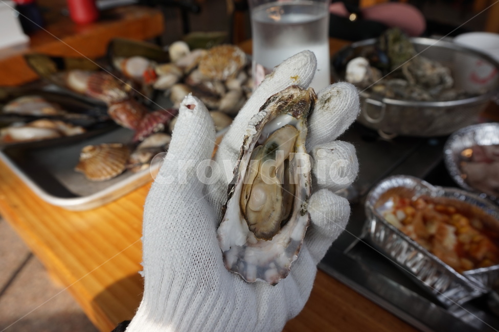 굴,석화,석화찜,굴찜,해산물,oyster,소주안주,싱싱한,어패류,바다,음식,요리,해물,seafood,fresh,서해안,대천,대천해수욕장