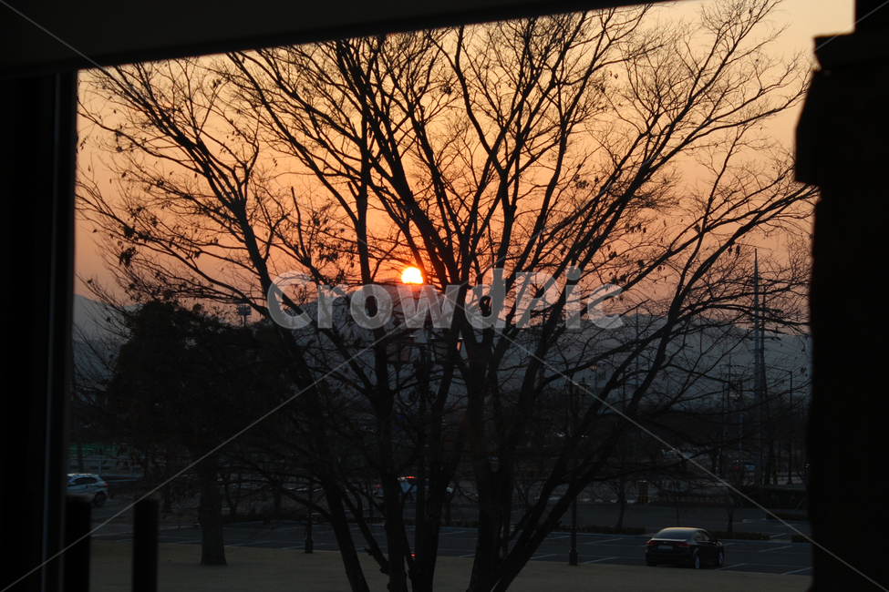 일몰,저녁,해넘이,해질녘,풍경,나무,붉은하늘,노을,sunset,저녁노을