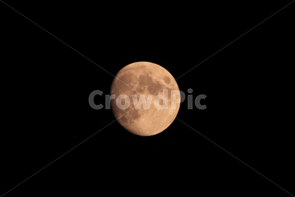 달,천체,위성,우주,상현달,야경,밤,풍경,nightscape,night,landscape,outdoors,옥외,moon,astronomy,천문학,outer space,대기권 밖,universe,nature,자연