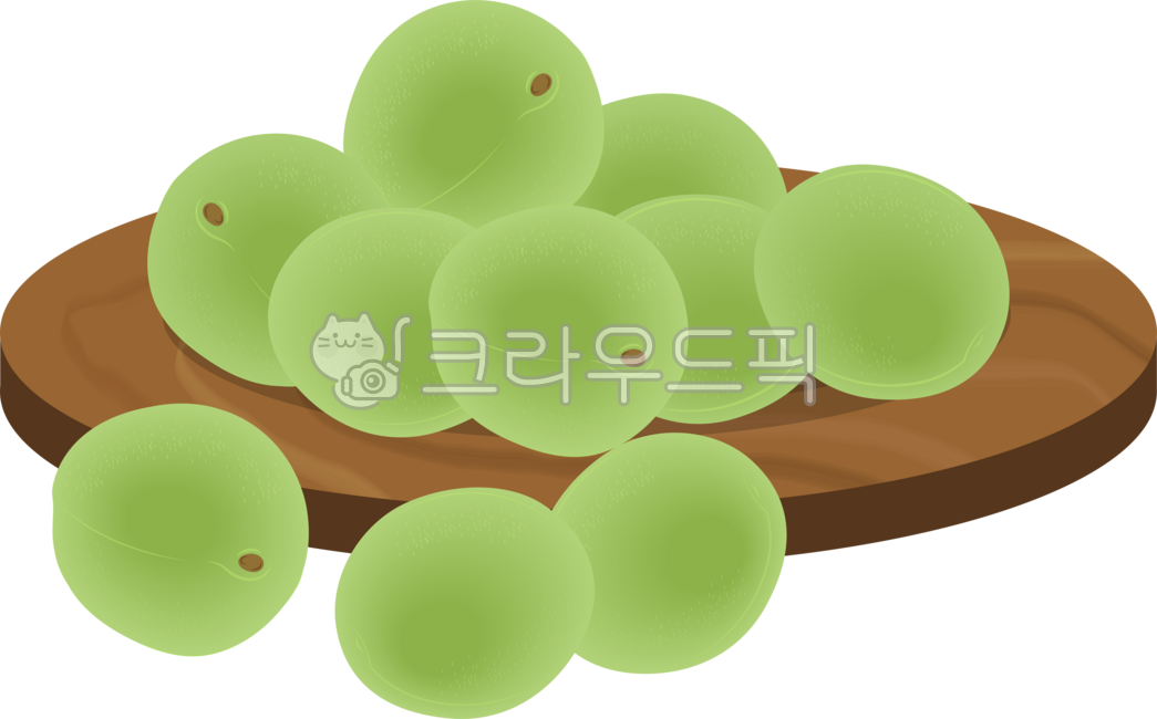 매실,매실일러스트,매실열매,청매실,과일매실,매실그림,매실청재료