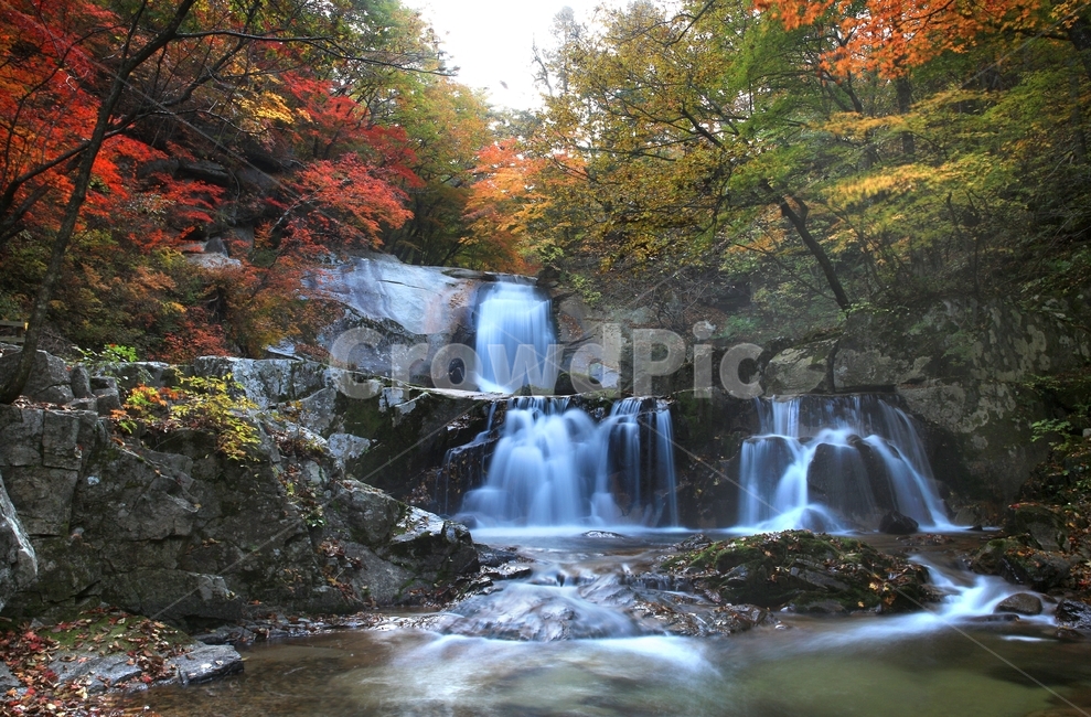 leaf,잎,plant,식물,tree,나무,maple,water,물,nature,자연,outdoors,옥외,waterfall,폭포,강원도,인제,방태산,방태산폭포,방태산가을,추색,가을,단풍,단풍잎,낙엽,만추,물흐름,계곡,가을,계절,fall,autumn,season,자연,풍경,nature,landscape