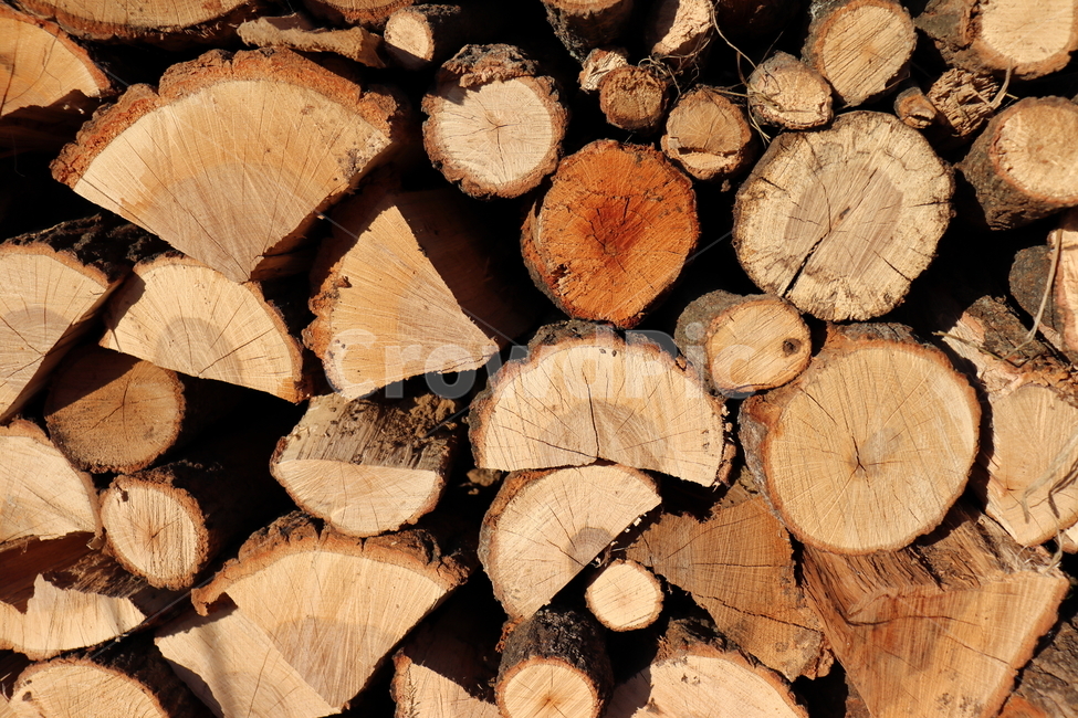장작,나무,firewood,시골,겨울풍경,겨울,땔감,풍경,난로,연료,화덕보일러,통나무,여행,시골여행,따뜻함,온기,보일러,한국,아시아,의성,wood,log,timber,countrysidelandscape,winter,fire,stove,hearth,heater,closeup,chopped,outdoor,countryside,natural,nature,tree,pile,background,wooden,forest,energy,split,fuel,woodpile,stacked,stack,lumber,brown,texture,pattern,cut,trunk,bark,old,warmbackground,warm,travel,trip,campfire,asia,korea,material,surface,vintage,나무,trees,wood