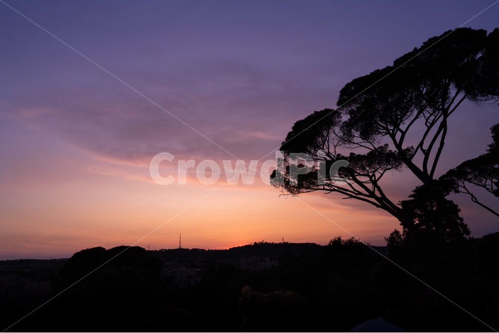 자연,새벽,redsky,붉은하늘,sky,하늘,sunset,일몰,실루엣,노을,보라하늘,나무,저녁,감성,석양,태양,감성사진,나무실루엣,휴식,힐링,풍경,빛,sun,tree,nature,silhouette