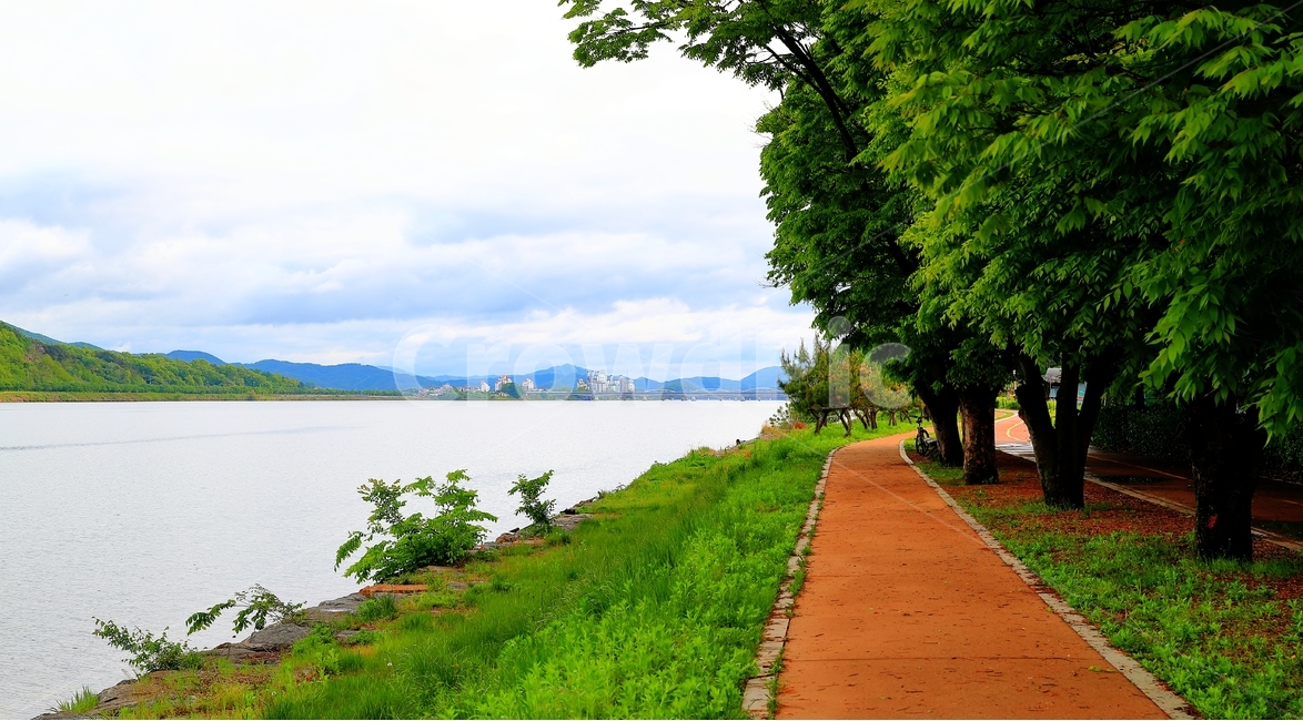 북한강,나무,물,양평,하늘,자연,풍경,nature,landscape,휴식,힐링,rest,relaxation,healing,path,통로,tree,plant,식물