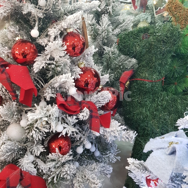 크리스마스,트리,christmastree,나무,christmas,메리크리스마스,성탄절,merry christmas