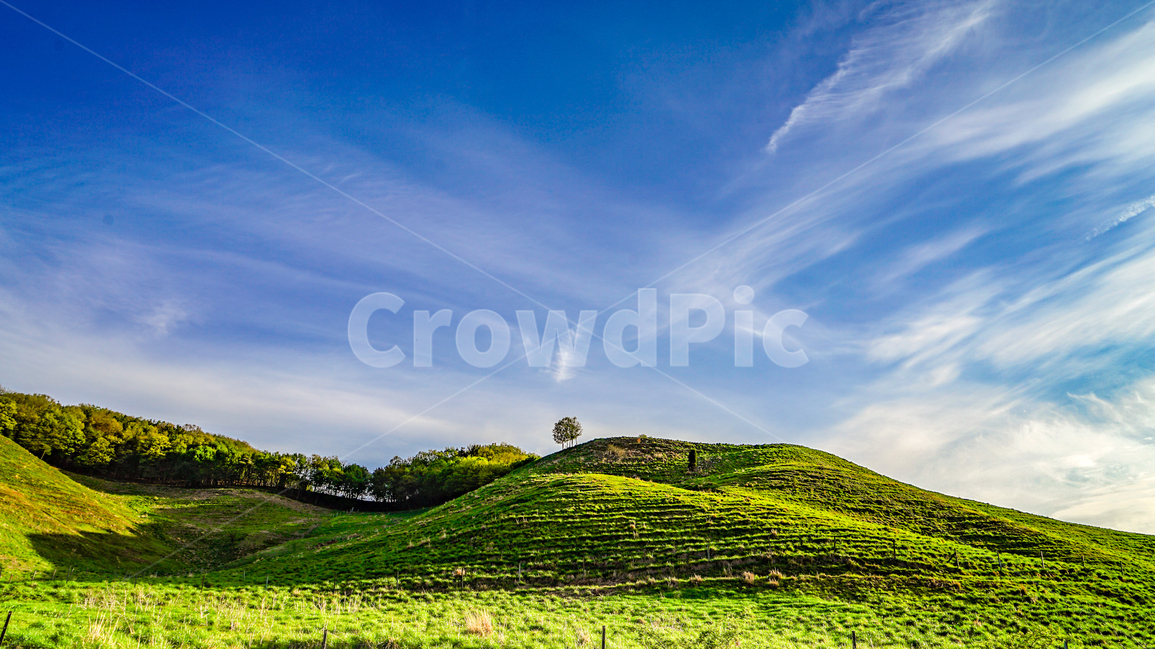 풍경,녹색,감성,배경,자연,자연,풍경,nature,landscape,outdoors,옥외,grassland,목초지,field,들