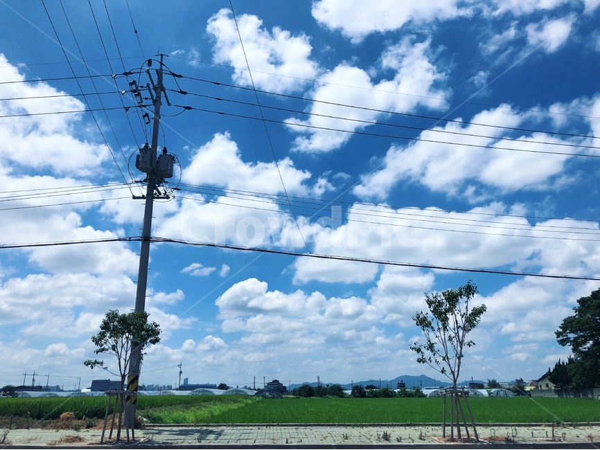 구름,하늘,맑은하늘,풍경,자연,감성,분위기,자연,풍경,nature,landscape,utility pole,전신주