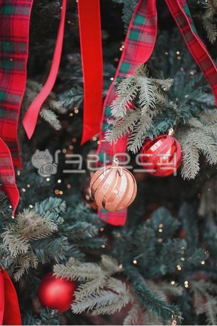 트리,크리스마스,성탄절,빨간,오너먼트,트리장식,연말,12월,크리스마스트리,christmas,메리크리스마스,성탄절,merry christmas