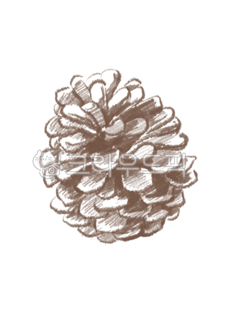 가을,솔방울,다람쥐,아기자기한,앤티크,카페,자연