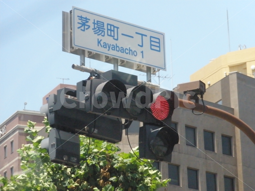 일본,도쿄,동경,신호등,거리,도시,교통,해외,외국,신호,japan,city,해외여행,외국여행,일본여행,tokyo,travel,여행,traffic,사물,물건,object,컨셉,콘셉,concept,운전,자동차,드라이브,drive,건물,빌딩,snap,스넵사진,스넵,스냅,스냅사진,교통,교통수단,traffic,transportation,해외,외국,세계,foreign,oversea,world,light,빛