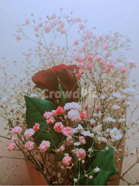 꽃다발,장미꽃,꽃,안개꽃,flower,bouquet