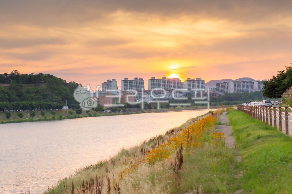 일출,일몰,자연,풍경,nature,outdoors,sky,cityscape,sunrise,빛,light,플레어,flare,햇빛,sunlight,해돋이