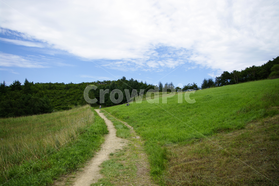 하늘,구름,초원,풍경,식물,자연,풍경,nature,landscape,field,들,outdoors,옥외,grassland,목초지,dirt road,흙길,road,도로,gravel,자갈