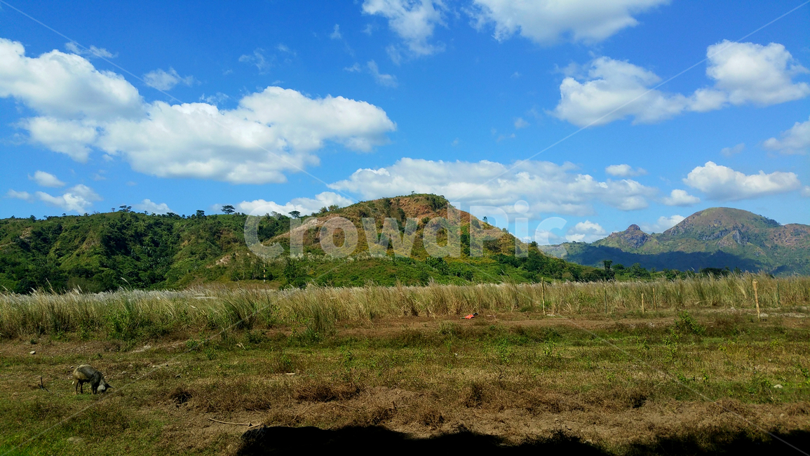 필리핀,시골,풍경,자연,해외,자연,풍경,nature,landscape,outdoors,옥외,hill,언덕