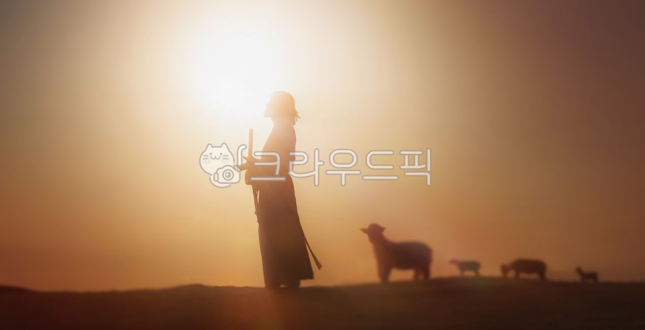 예수그리스도,양,빛,어린양,인도하다,들판,초원,목자,양떼,기도,하나님,태양,하늘,구름,안개,돌보다,보호,목동,그리스도,어두운,지팡이,교회,믿음,신앙,은혜,종교,평화로운,밝아오는,컨셉,언덕,일몰,실루엣,잔디,목초지,동물,예수님,크리스찬,이끌다,따르다,배경,보케,성자,성스러운,찬란한,포스터,배너