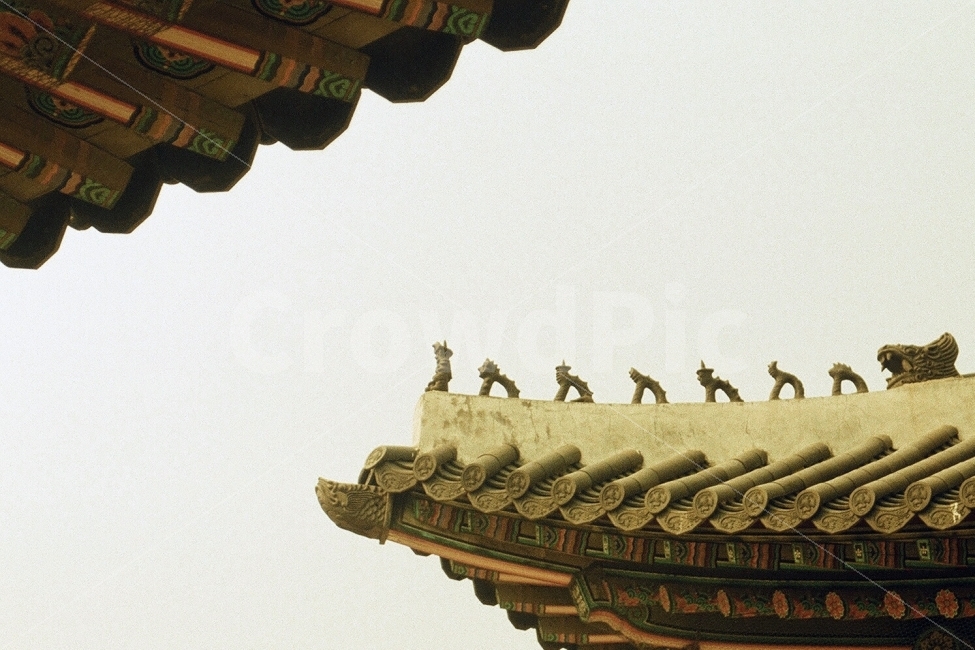 기와,잡상,기와지붕,필름사진,전통,한국전통,한국문화,korean traditional,korean culture,감성,sensible,feeling