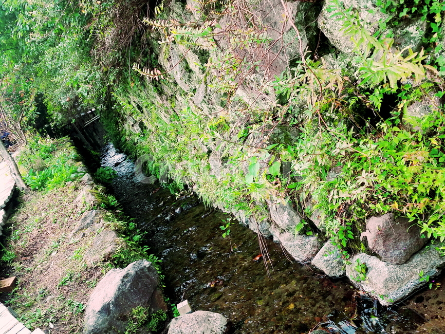 도랑,도랑길,좁은냇가,돌길,숲속길,자연,풍경,nature,landscape