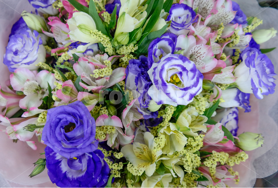 꽃다발,꽃,축하,다채로운,화려한,colorful,flowers