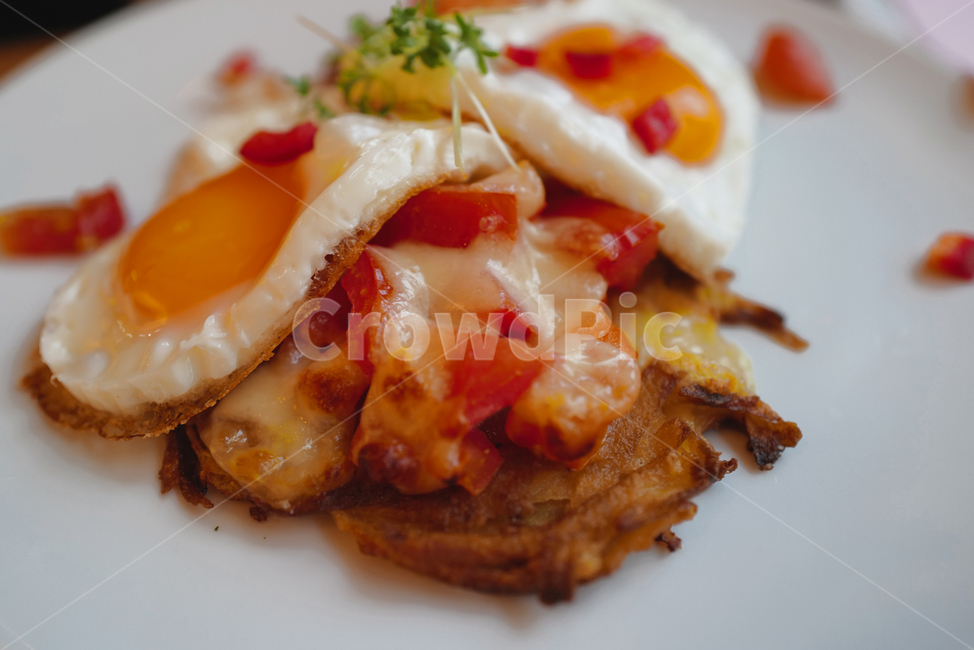 브런치,계란,계란후라이,음식,food,흰접시