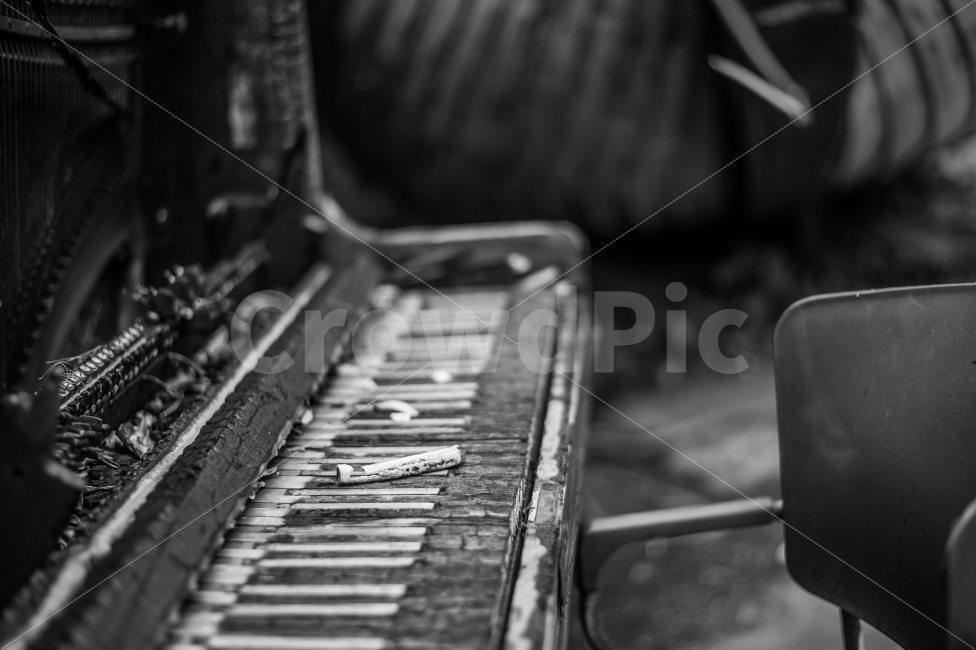 흑백사진,가을,피아노,낡음,건반,아웃포커싱,폐기,없어짐,악기,음향기기,musical instrument,musical equipment,흑백,모노톤,monochrome,black and white