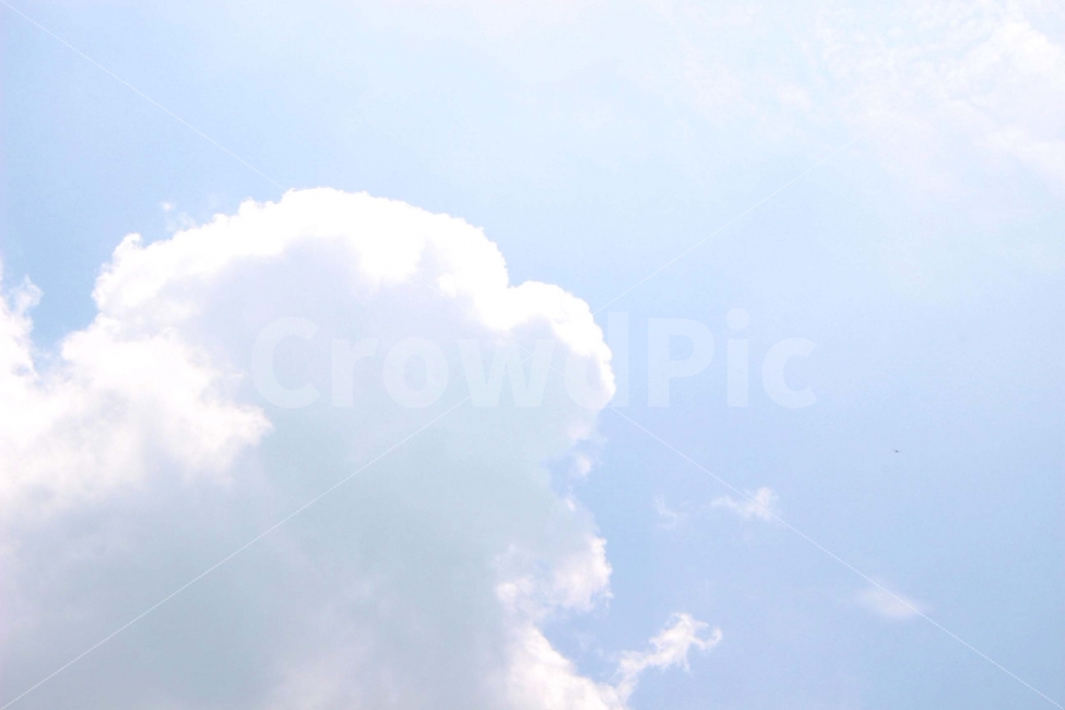 배경,텍스쳐,texture,background,하늘,sky,cloud,구름,하양,하얀색,파랑,파란색,자연,풍경,nature,landscape,outdoors,옥외
