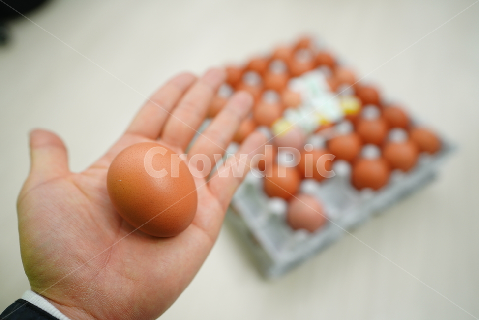 계란,달걀,egg,구운계란,먹방,먹거리,간식,영양식,단백질,알,푸드,음식,food,사람,인물,인간,human,person,신체일부,몸,body,음식,식재료,요리,food,cook,meal,dishes,food reserves