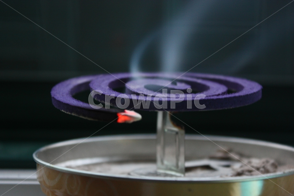 모기향,보라색,여름,연기,불,근접촬영,smoke,fire,summer,여름,계절,summer,season