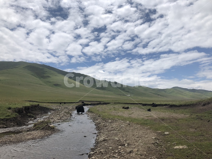 nature,자연,outdoors,옥외,언덕,동물,시냇물,하늘,파랑,고산지대,자연,풍경,nature,landscape