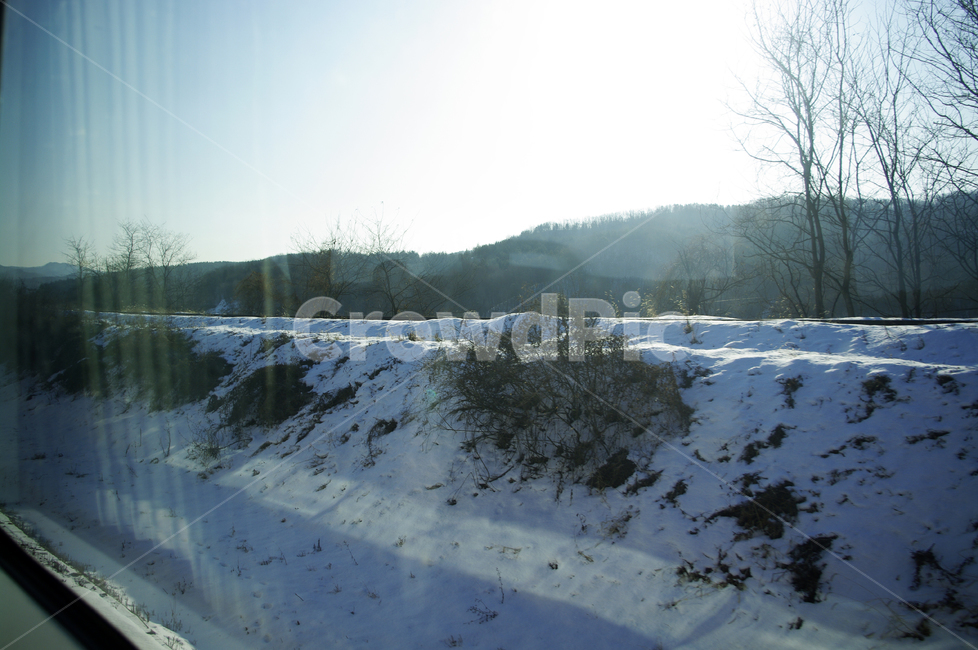강,설경,나무,식물,plant,겨울,winnter,겨울,계절,winter,season,자연,풍경,nature,landscape,outdoors,옥외