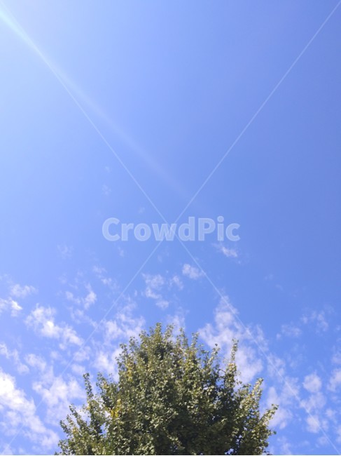 자연,하늘,나무,구름,감성,자연,풍경,nature,landscape,outdoors,옥외,sky,azure sky,푸른 하늘