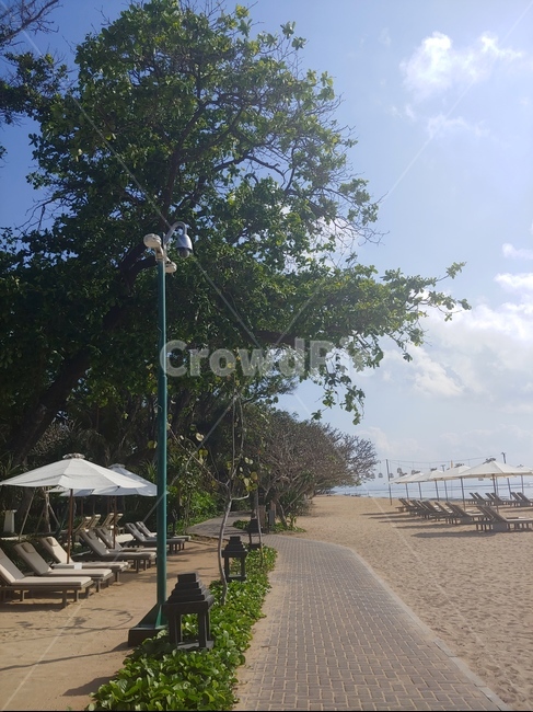 해변,발리,썬베드,풍경,산책길