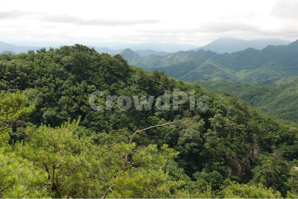 산,자연,여름,하늘,구름,나무,자연,풍경,nature,landscape,outdoors,옥외
