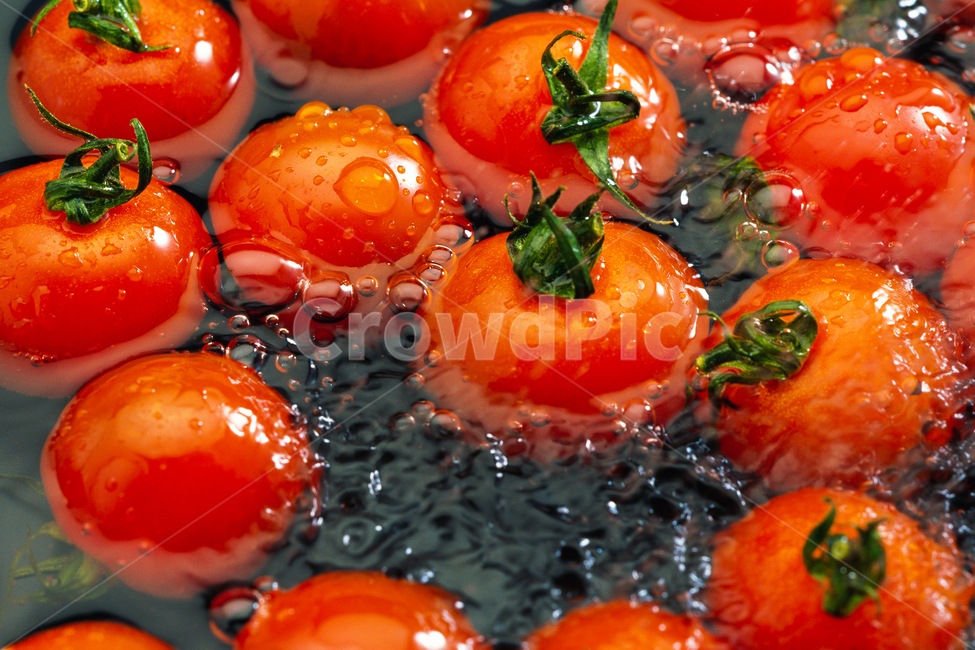 background,토마토,tomato,채소,야채vegan,lifestyle,veganfood,freshness,tomatoes,fresh,healthy,food,health,hand,organic,woman,tasty,closeup,natural,red,nature,splash,leaf,wet,ingredient,green,ripe,vegetarian,vegetable,vitamin,water,delicious,raw,marketfresh,autumn,growth,garden,음식,식재료,요리,food,cook,meal,dishes,food reserves,과일,열매,fruit